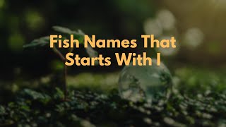 Fish Names That Starts With I