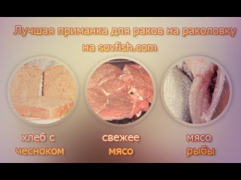 Эхолот практик эр-6 pro 2 официальный сайт Эхолот практик эр-6 pro 2 официальный сайт