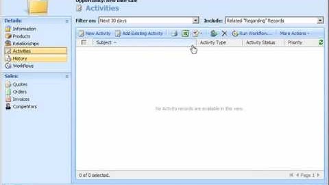 Automatic Workflow Properties in CRM 4.0