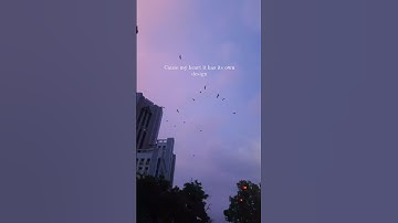 Thumbnail of this new song deserves a video #prateekkuhad #co2 #songs #songlyrics #feels