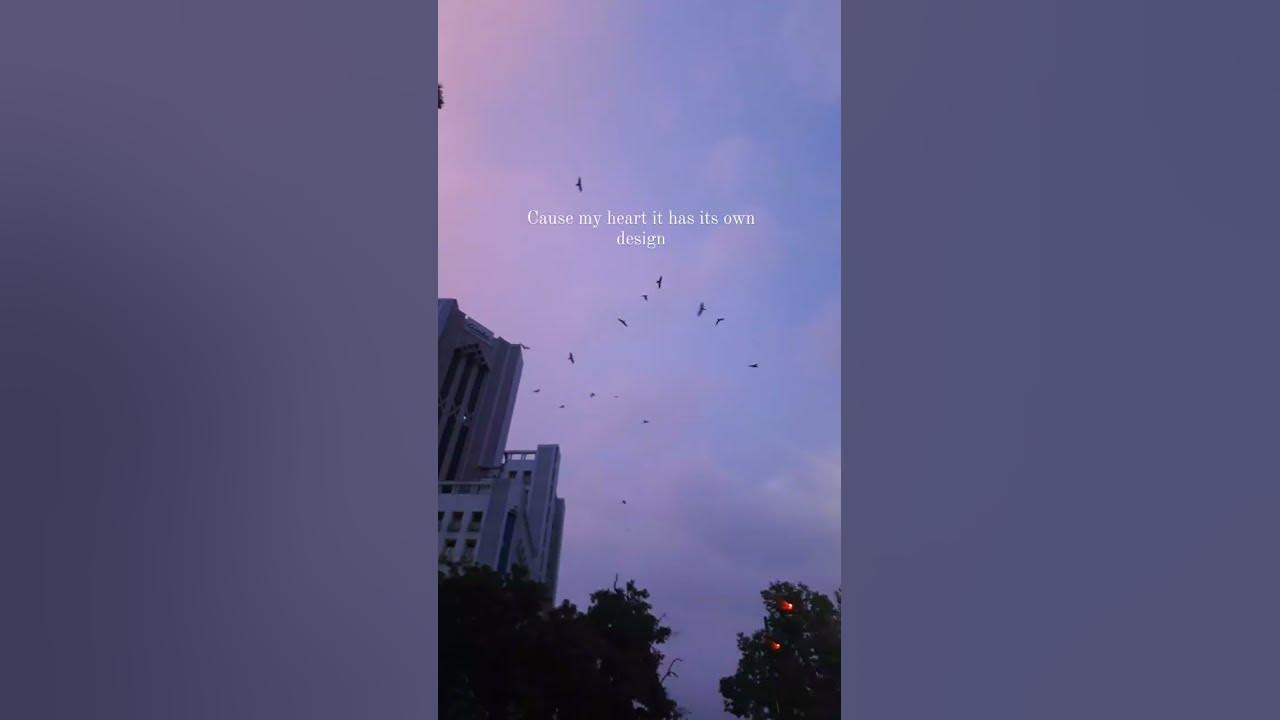 this new song deserves a video #prateekkuhad #co2 #songs #songlyrics #feels