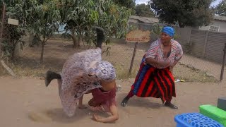 KARATE PA NJUGA (ZIM COMEDY) FT MHOSVA 🤸😡😂