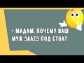 Сборник Смешных Анекдотов! Юмор дня! Прикол! Позитив!