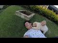 Middle of video