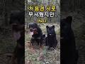 서로 겁먹은 두 아이… 그리고 믿을 수 없는 교감. Part.2 Two Scared Souls, One Connection #아기흑표범 #동물교감 #animalbonding