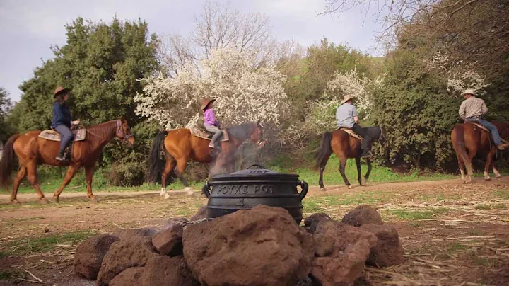 Joy of Israel Episode 1 - Cooking with Cowboys