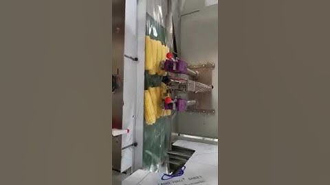 Multi pieces of corn flow feeding filling sealing machine corn bag film wrapping packing line