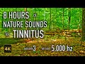 8 Hours Nature Sounds for Tinnitus — EP 3 | [5,000 Hz] | 4K HDR10 - E03-5000