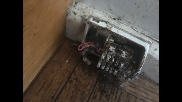 Cockroach Infested Phone Sockets Slows NBN FTTN Speeds Drastically