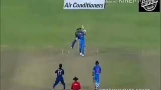 Msd Video Whatsapp Status
