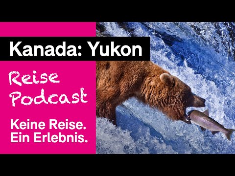 Video: Die Besten Reise-Podcasts