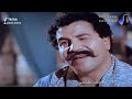 حالات واتساب فيلم سلام ياصاحبى مهرجان دلقوا الخمره من عماهم