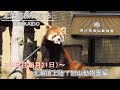 【北海道旅行2015】2日目(8月21日)北海道上陸！旭山動物園編