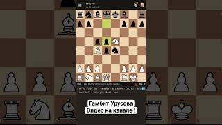 Дебют слона: Гамбит Урусова - шахматы #chess #шахматы #scacchi