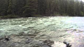 Tenkara, High Water, and a Jumping Brown