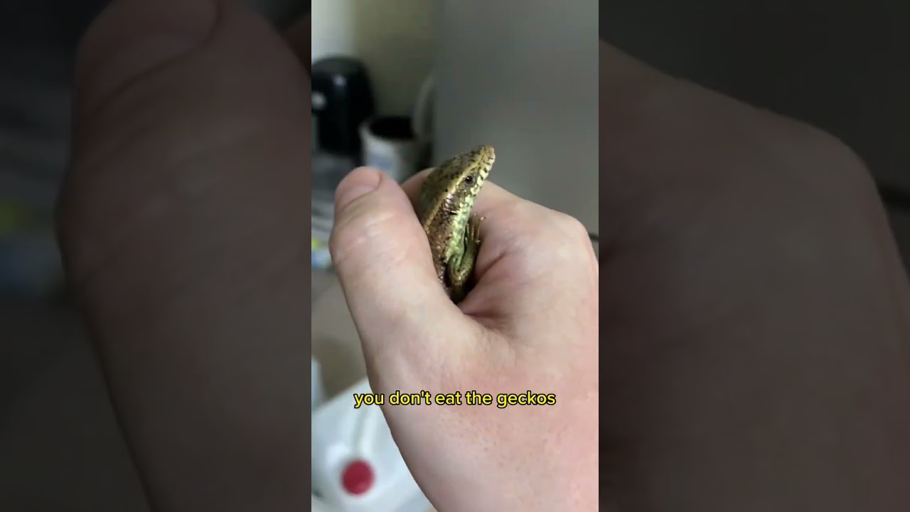 What’s your hobby? ￼