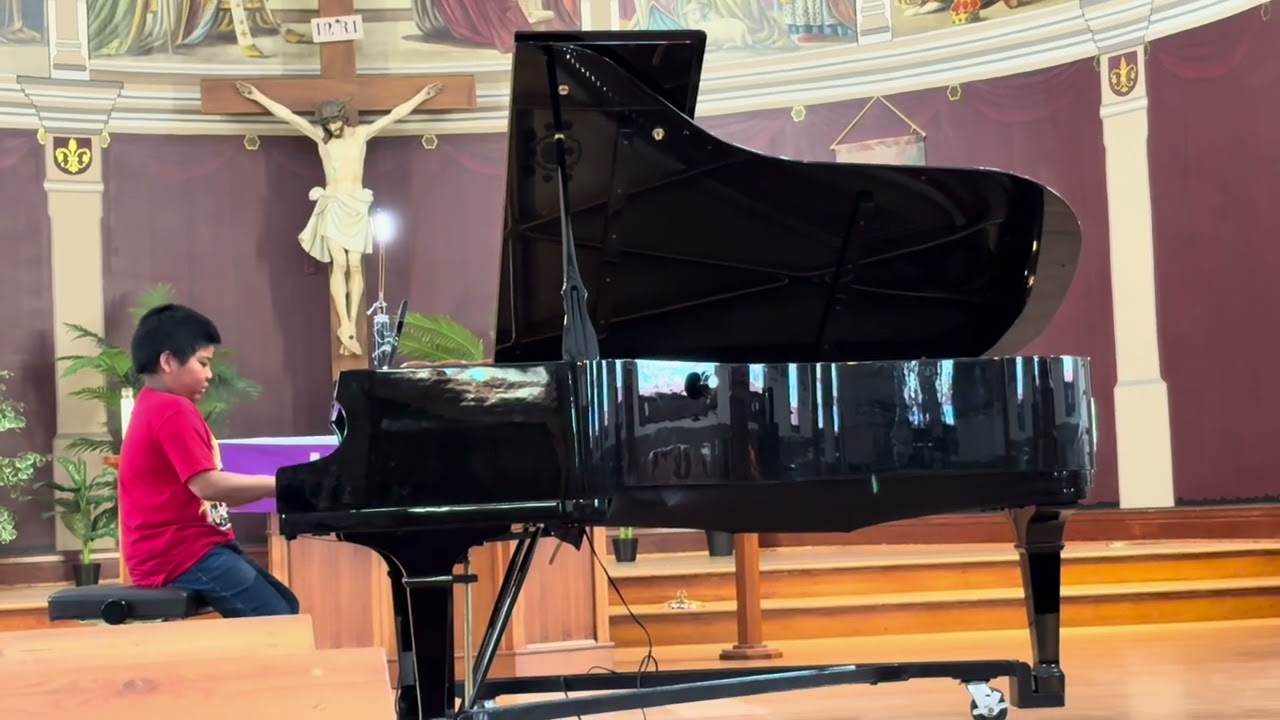 Music/ Piano lessons 