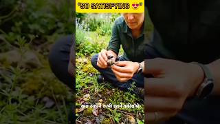 Snail Close Up 🐌 | You Won’t Believe What It Found