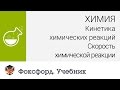 Химия. Кинетика химических реакций. Скорость химической реакции. Центр онлайн-обучения «Фоксфорд»