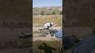 Best Survival Skills vid490 #shorts #gaming
