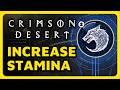 How To Increase Stamina Level in Crimson Desert (Beginner's Guide)