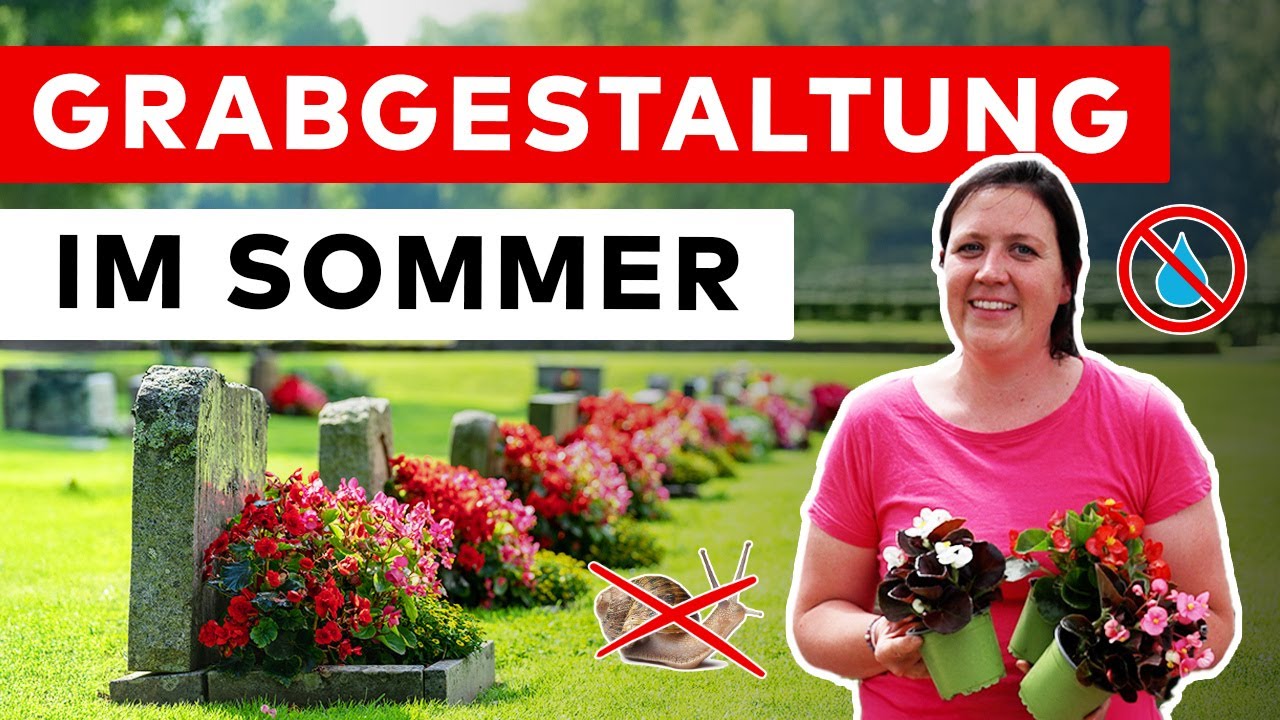 Grabbepflanzung im Sommer: Wenig Wasser 🚫💧 | Begonien Sorten 🌺