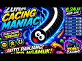 Game cacing paling besar | worm zone io gameplay