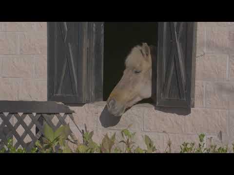3561 Legareville Road, Johns Island, SC home video tour