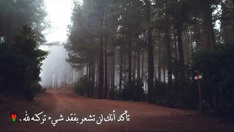تلاوه هادئه وخاشعه للقارئ محمد مباركي😪💔🌹