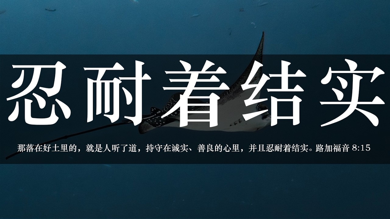 【睡前祷告】忍耐着结实20260309-主啊，求你亲自带领并耕耘我们的心，使它成为你喜悦的好土。让我们努力持守，带着忍耐的信心实践你的话语，结出美好的果实。