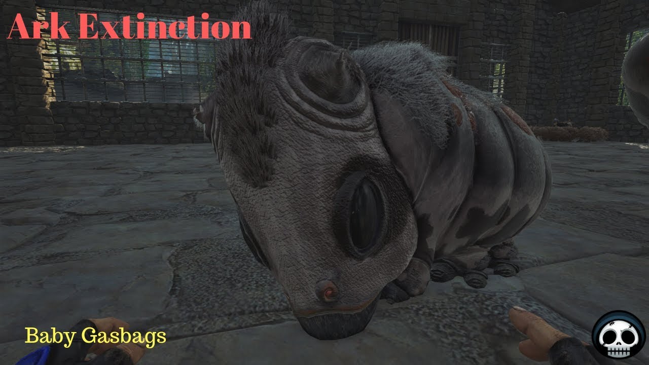 Breeding Up The Gasbags | They Got Fat Heads! | Ark Extinction Part 16