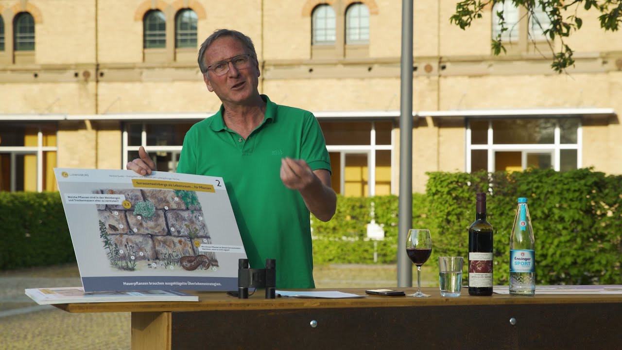 Neckar Open - Talk am Tresen. Die Zugwiesen von oben.