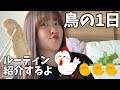 僕鳥の1日をみんなに紹介するよ🐥 の動画、YouTube動画。