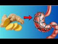 GINGER: How It Heals Indigestion and More