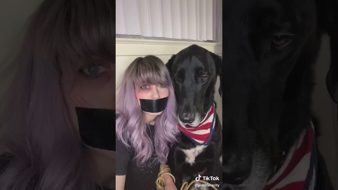 Tiktok Evil Cat Help Youtube