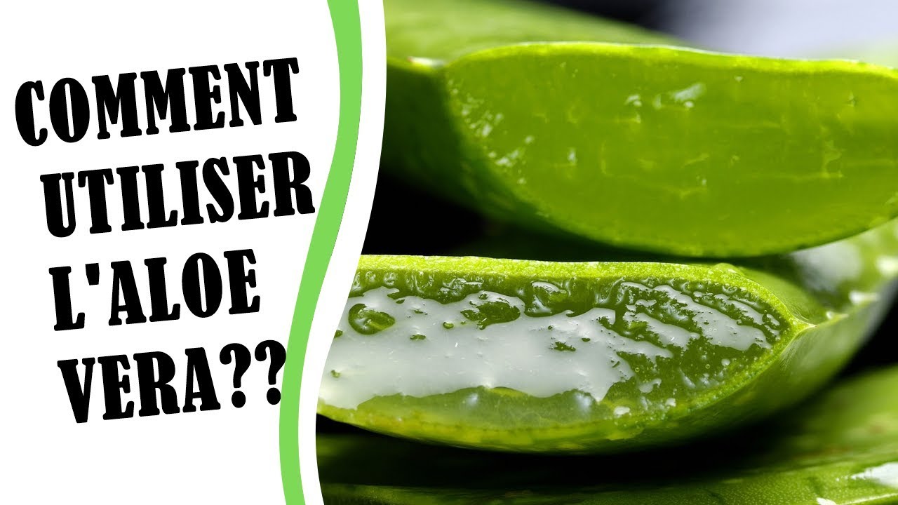 L'ALOE FABRIQUER ET UTILISER L'ALOE VERA YouTube