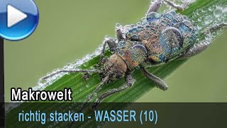 richtig stacken: Am, im und ums WASSER fotografieren (10)