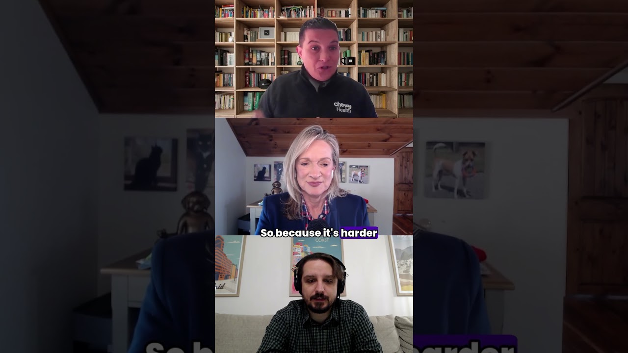 Распознайте первые признаки страха у вашей собаки &mdash; и помогите ей как можно скорее | Домашние жив...