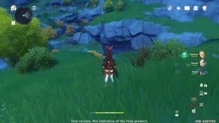 Epilepsy Warning Genshin Impact Screen Glitch