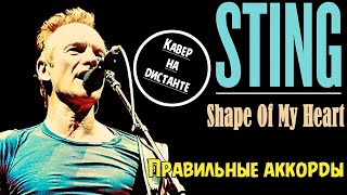 Sting - Shape of my heart | shape of my heart на гитаре