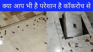 cockroach treatment : क्या आप भी है परेशान है कॉकरोच से |  How to get rid of #cockroach