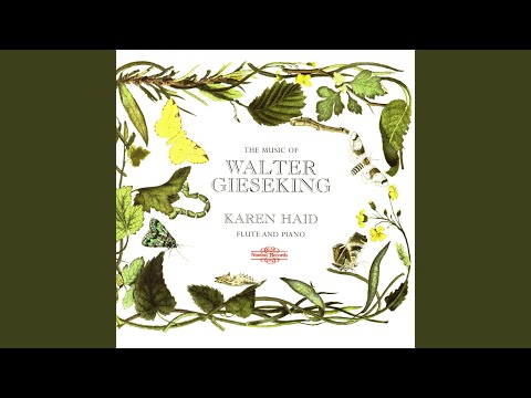 Ver Variationen über ein Thema von Edvard Grieg: IV. Moderato en YouTube