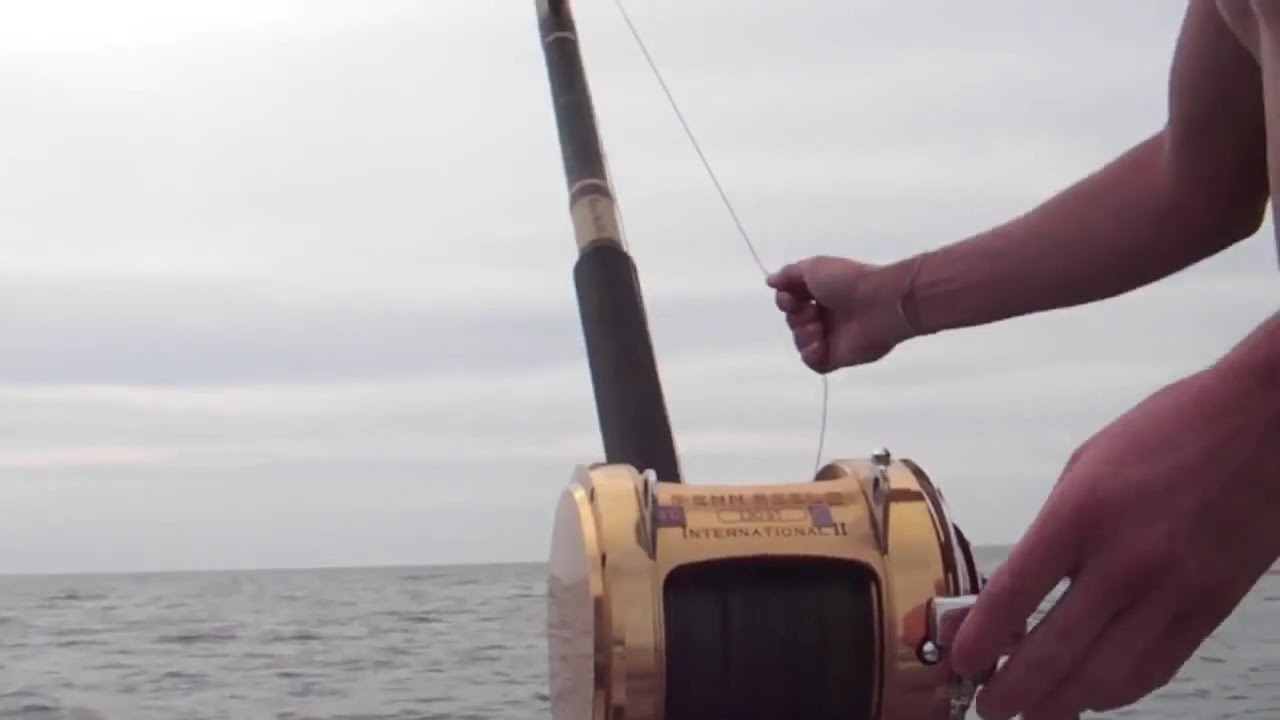 kite fishing for giant tuna off Gloucester Massachusetts on the tuna