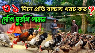 ৩১ দিনে প্রতি বাচ্চায় দেশি মুরগি পালনে খরচ কত।। দেশি মুরগি পালন পদ্ধতি ।। মায়া বাংলা BD ।।