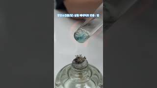영양소검출(당) 실험 베네딕트 반응 : 밥