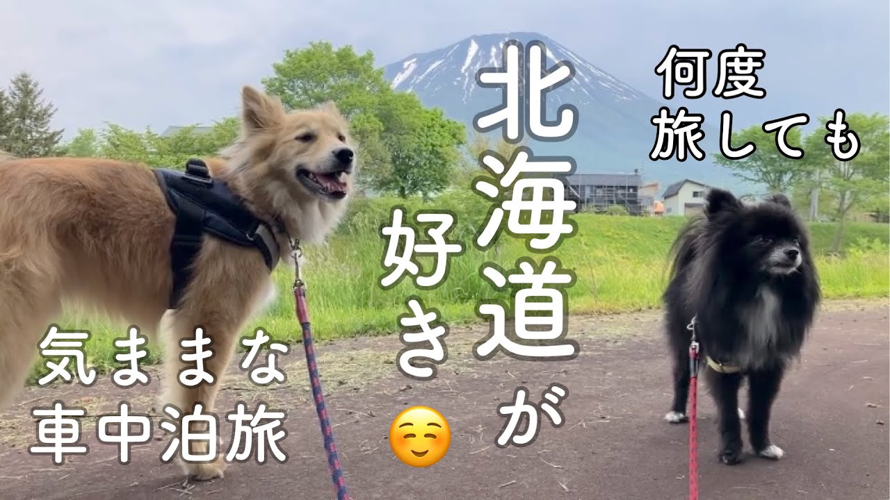 ポメ＆雑種犬と私、自由気ままな北海道キャンピングカー旅:白老〜カルルス温泉〜真狩〜赤井川をぶらり旅✨トラブル勃発からの落合ダムカヤックはどうなる⁉︎〜7泊8日道央カヤック旅④