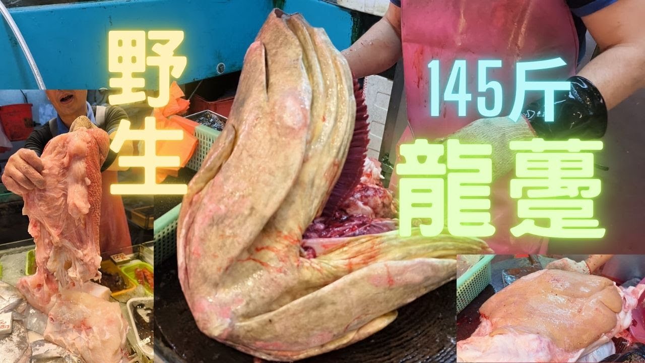 145斤極肥野生龍躉😱怪獸級,巨肥肝/肉質鬆化，油脂超香🤤Monster Giant Grouper cutting skills fishcutting海鮮~社長遊街市Seafood