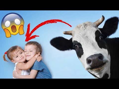Vidéo: Pourquoi Le Lait De Vache Pour Les Enfants De Moins D'un An Ne Peut-il Pas