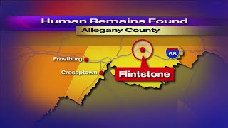 Police Human Remains Found In Allegany County Forest