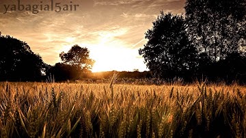 اذا اردت الخشوع - من سورة الفجر
